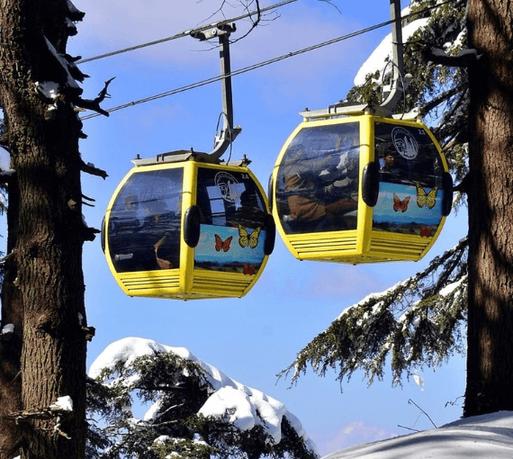 Monocable Fixed Grip Pulsated Systems