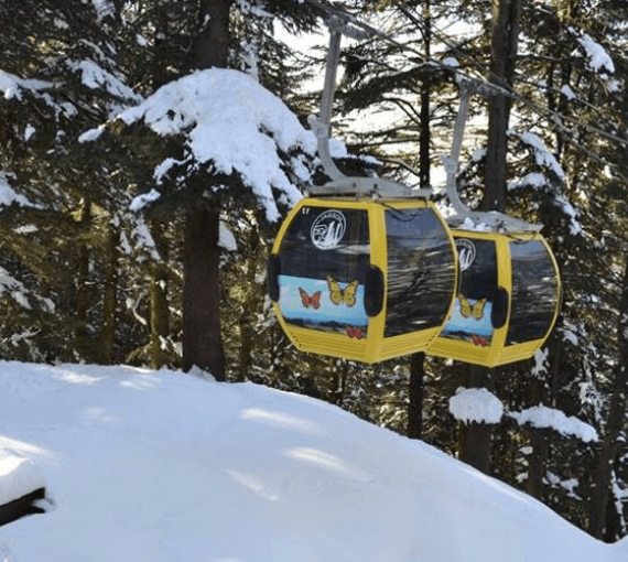 Monocable Fixed Grip Pulsated Systems